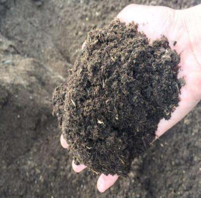 买到假营养土怎么补救,正规的营养土怎么选