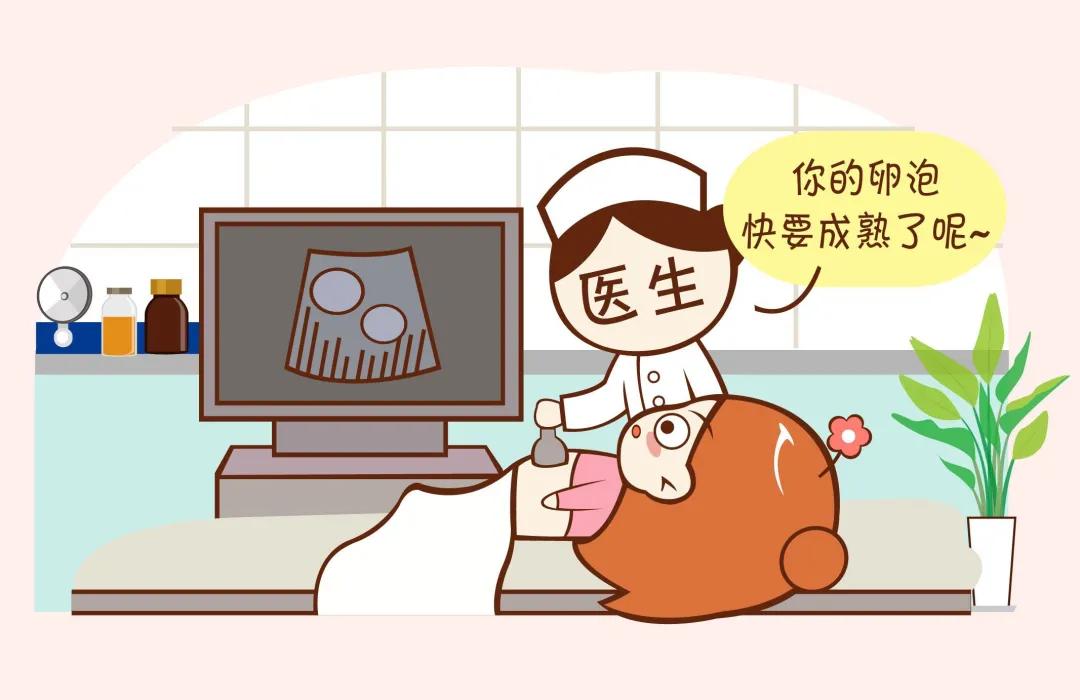 试管婴儿取完卵注意事项,试管婴儿促排多久可以取到卵