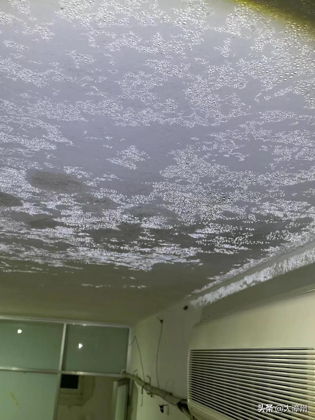 漳州市龙海石码美景,龙海石码全景美景