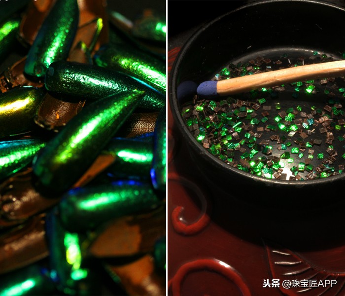 昆虫做的珠宝首饰,用昆虫做的艺术品