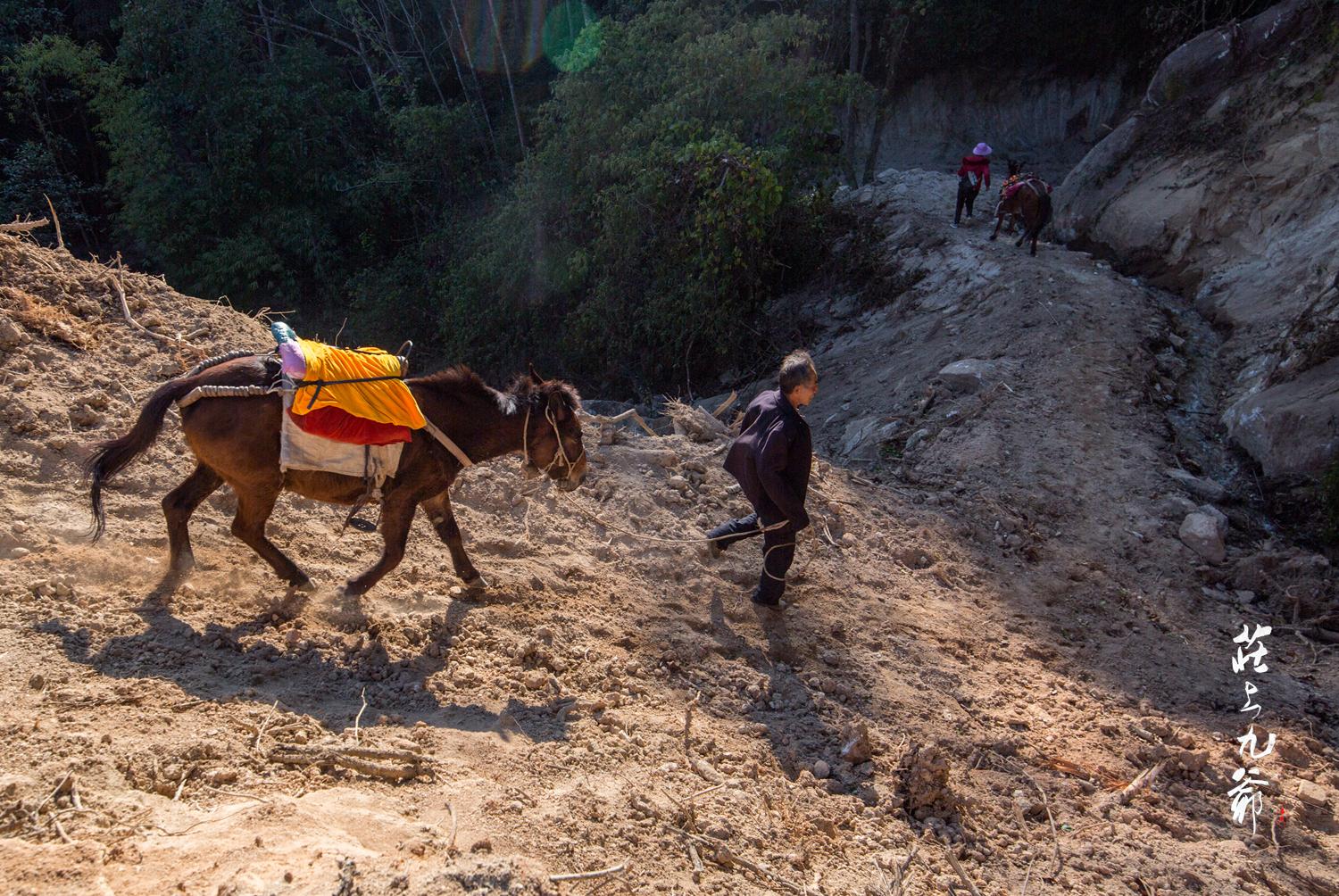 高黎贡山秘境森林,高黎贡山樱花谷温泉