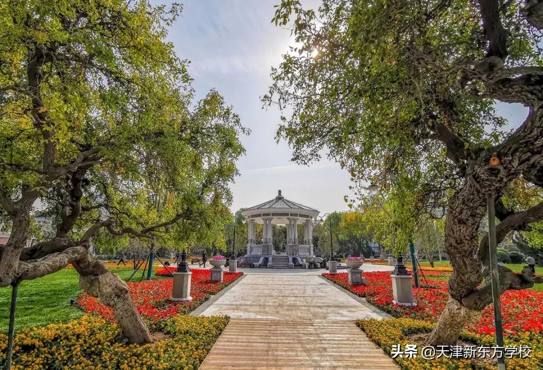 天津好消息今天,天津所有的免费景点博物馆