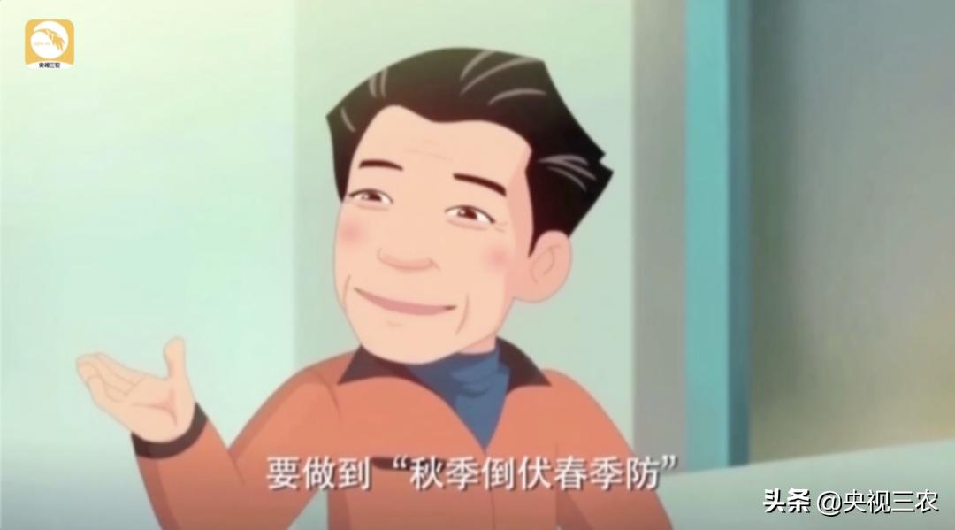 水稻倒伏怎么防止发芽,水稻可以用二甲四氯钠防止倒伏吗