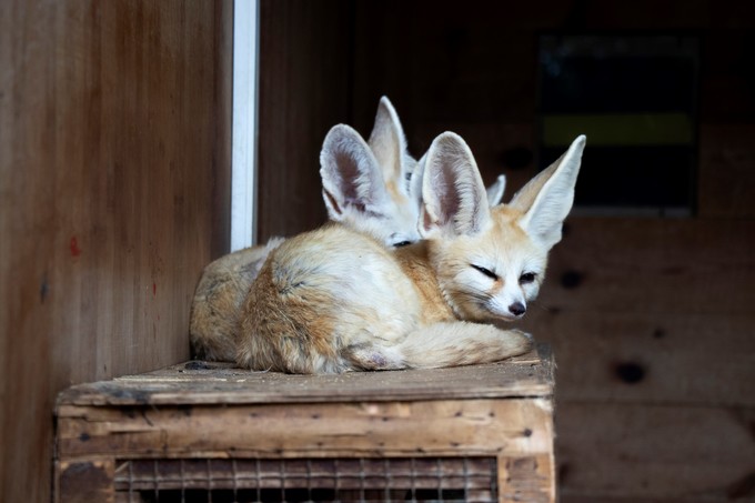 儿童亲子游怎么玩,室内亲子游必玩100例