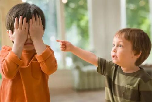 2岁的宝宝被小朋友抢玩具怎么办,2岁宝宝被抢玩具的小孩咬伤