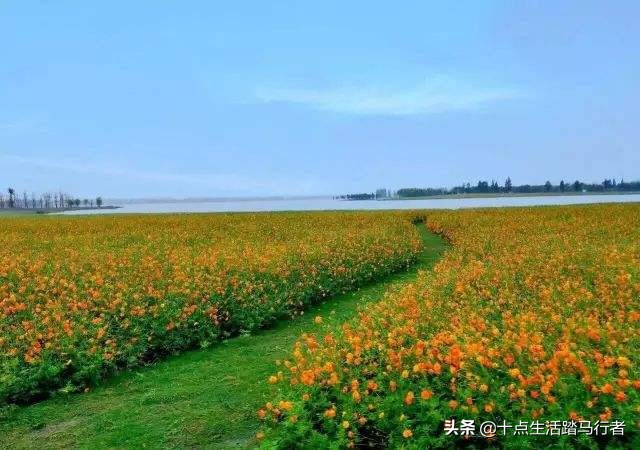 国际慢城高淳要门票吗,国际慢城高淳公司