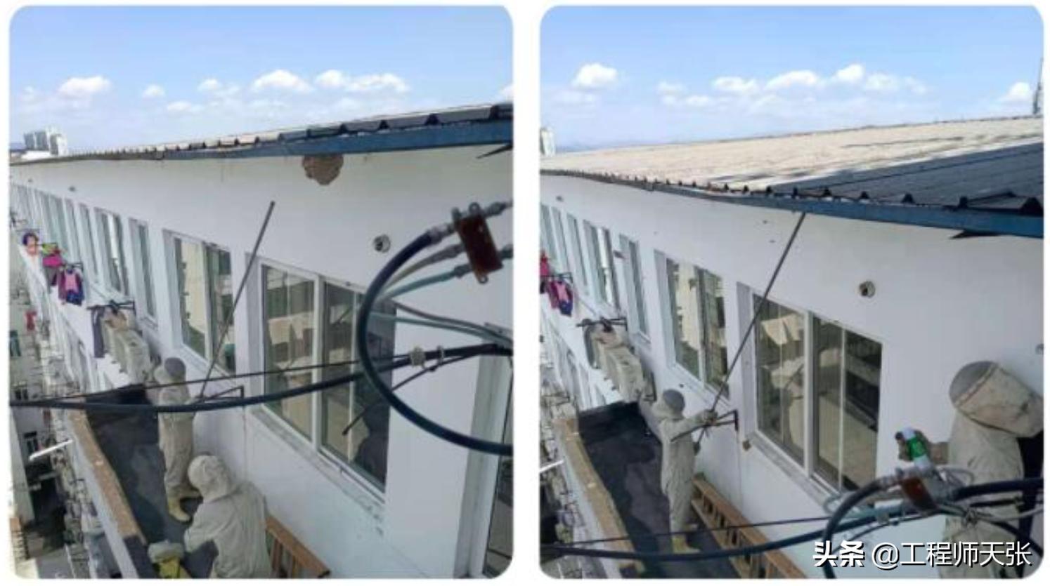 广西发现巨型马蜂,楼顶惊现巨型马蜂窝直径达半米