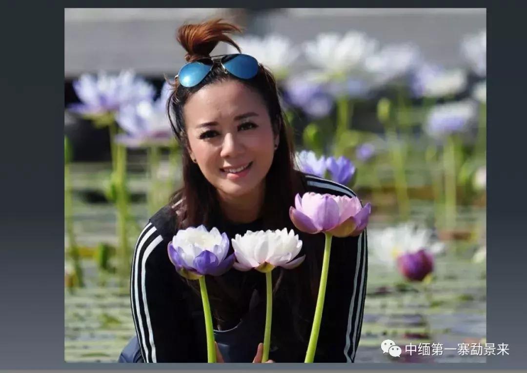 泰国顶级睡莲博士Dr.Nopchai版纳行,被勐景来圈粉