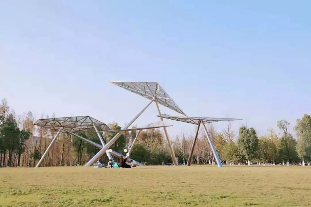 来长沙一定要来橘子洲,长沙橘子洲值得去吗