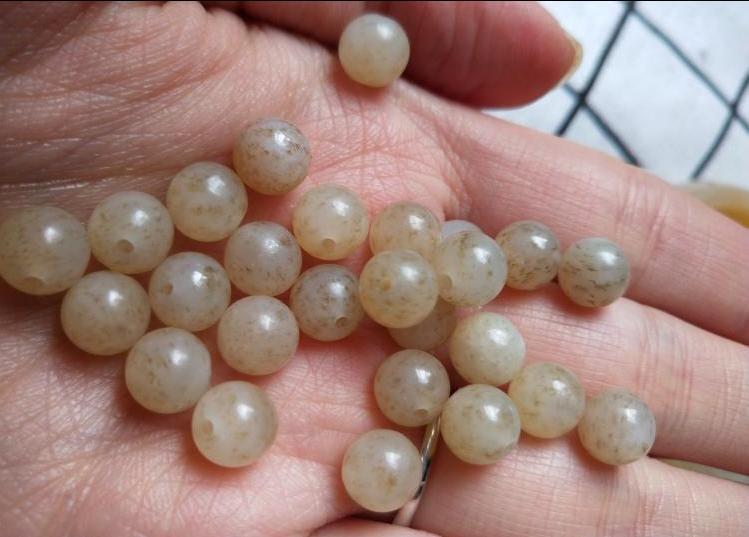 没几个人认识的桂花料,却引起玉友争吵