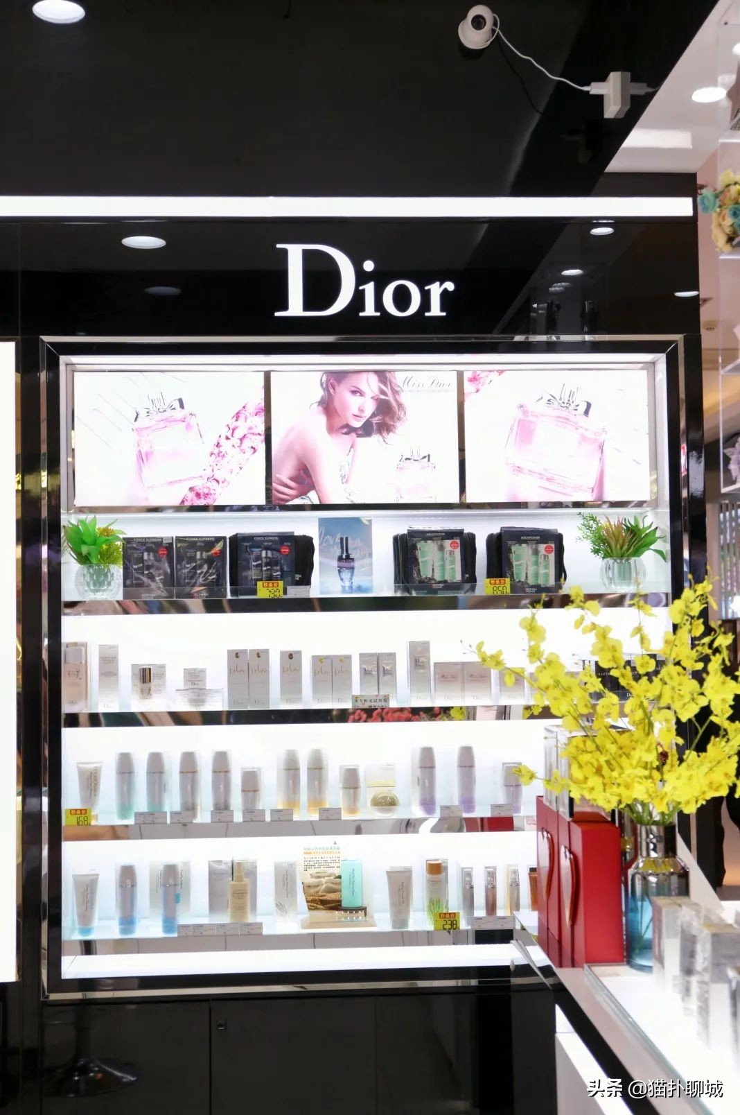 聊城的姐妹们，金鼎春季化妆防晒节活动大牌免费送！超值秒杀