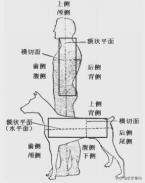 哺乳期颈肩痛怎么缓解,久坐颈肩痛的缓解方法