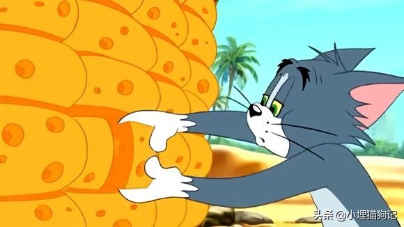 猫喝纯牛奶有危害吗,猫喝牛奶有危害吗