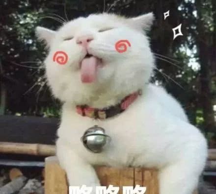 真实测评素颜霜哪种好用,十几块钱素颜霜真的好用吗