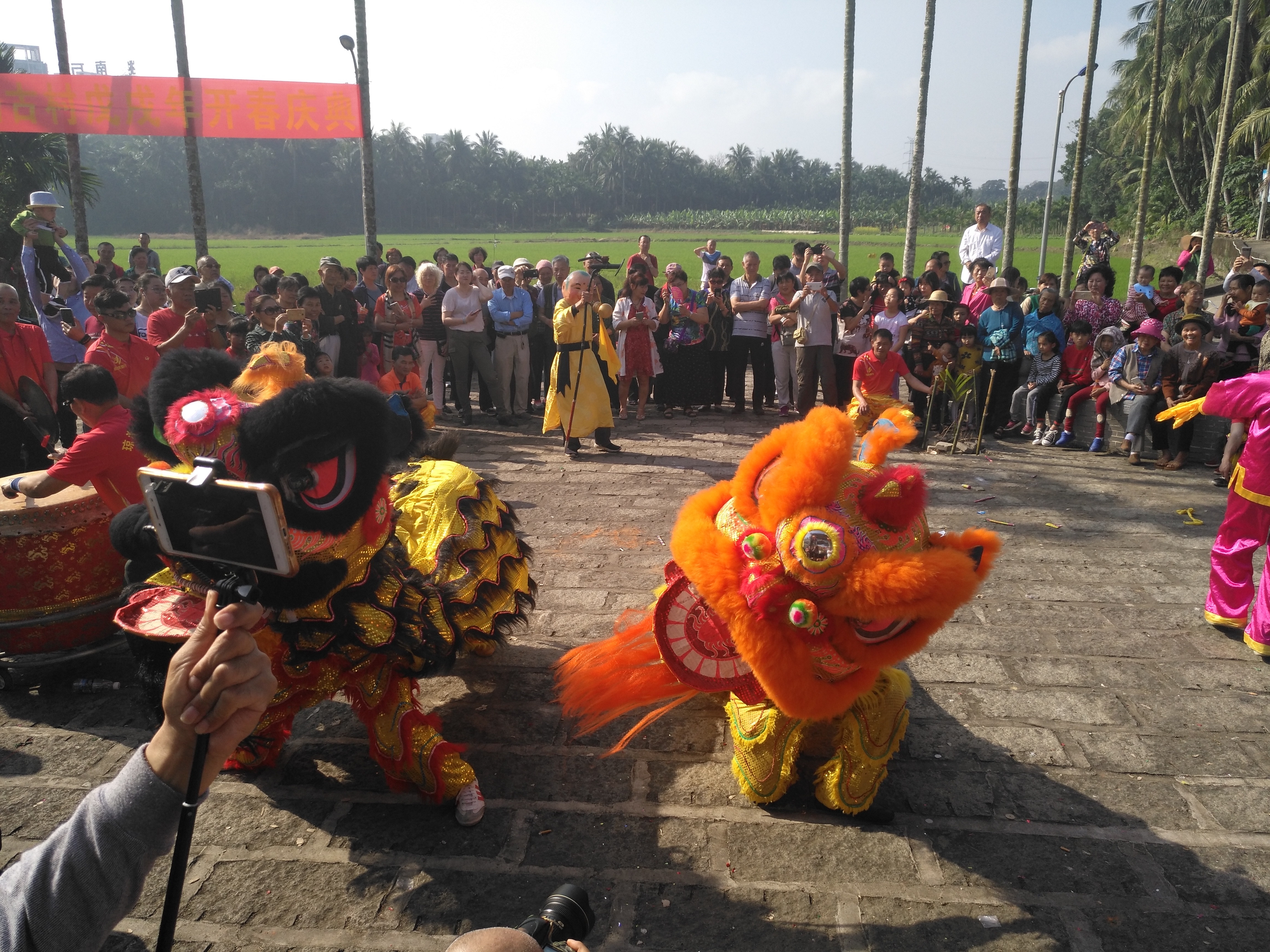 在海南过冬住宿怎么办 (海南能租房过冬吗)