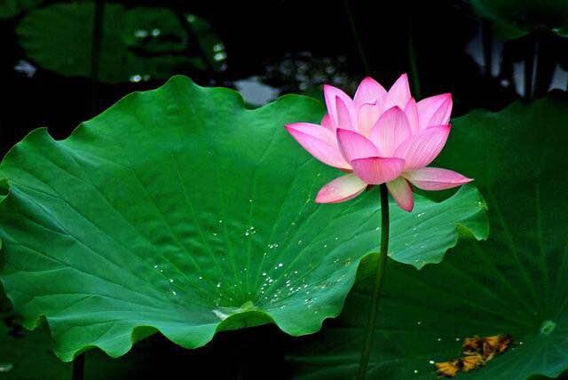 期货交易法则及方法,期货交易之道视频大全