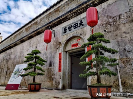 祖国大好河山深圳,深圳之无限风光