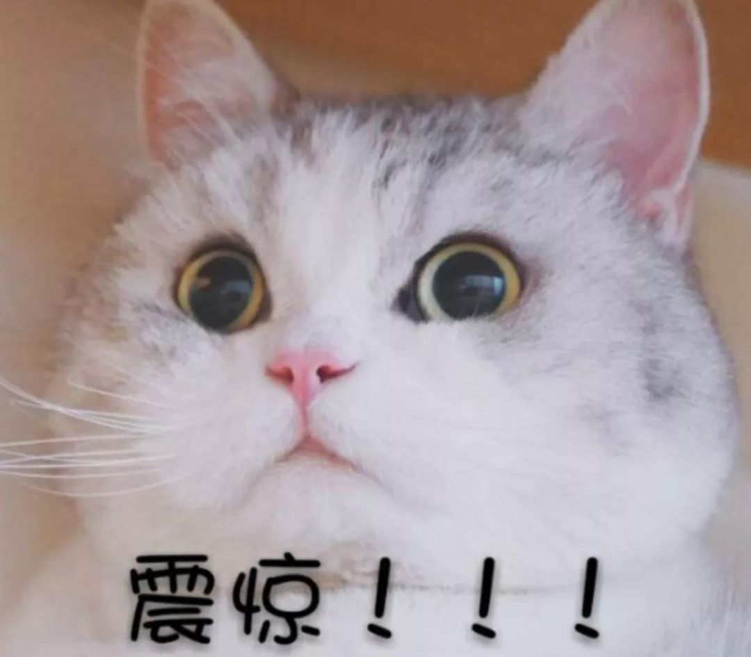 被父母嘲笑的时候,被父母嘲笑怎么办