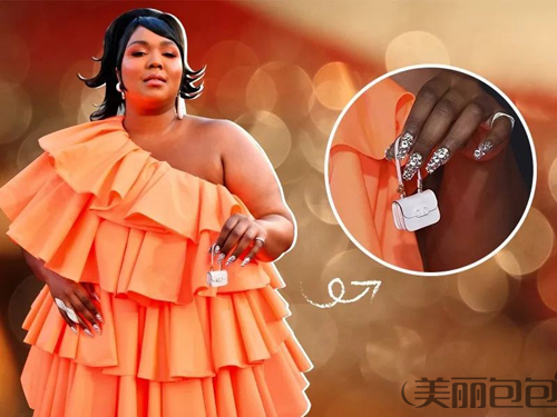 香奈儿和lv包哪个值得买 (lv香奈儿gucci哪个包包值得入)