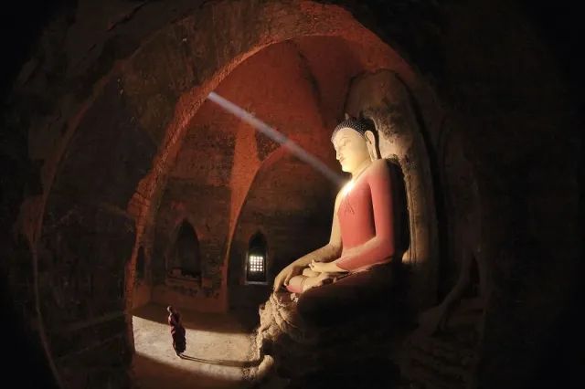 受疫情影响,近20%美国摄影师转行求谋生/普利策奖获奖名单公布