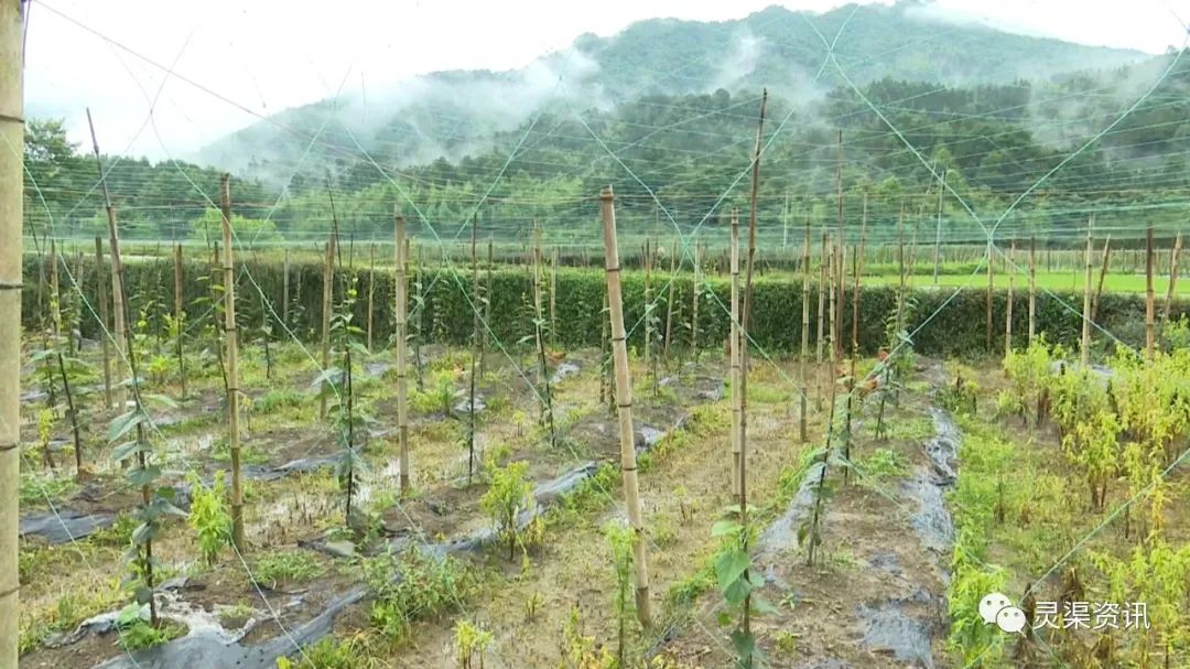 脱贫攻坚百名记者百村行,千名记者一线行上万岗位