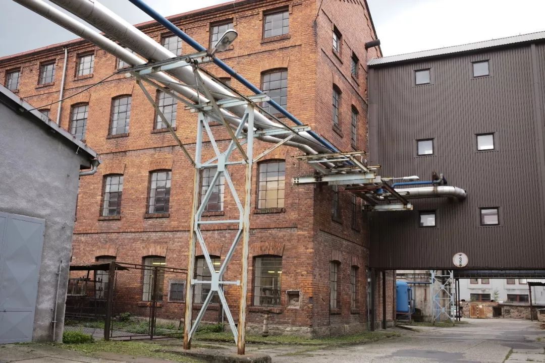 探访TON工厂看经典椅子背后的故事|疯狂24h我们去捷克干了啥?