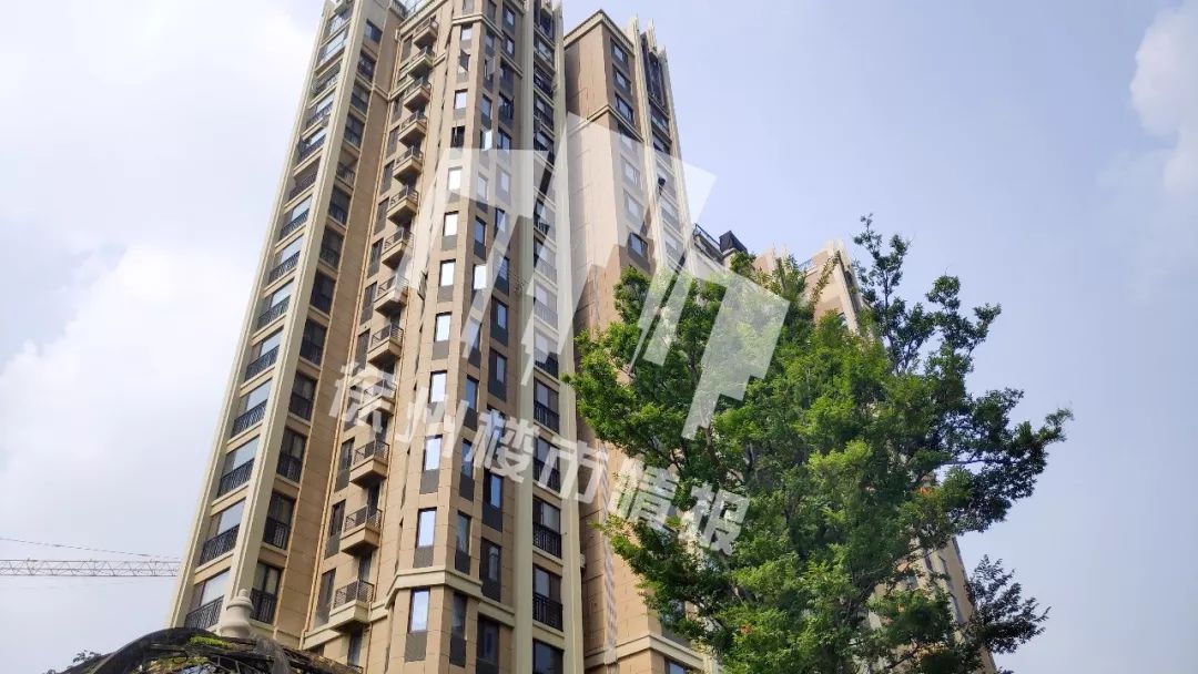 半年涨了几十万！这个小区业主真幸福