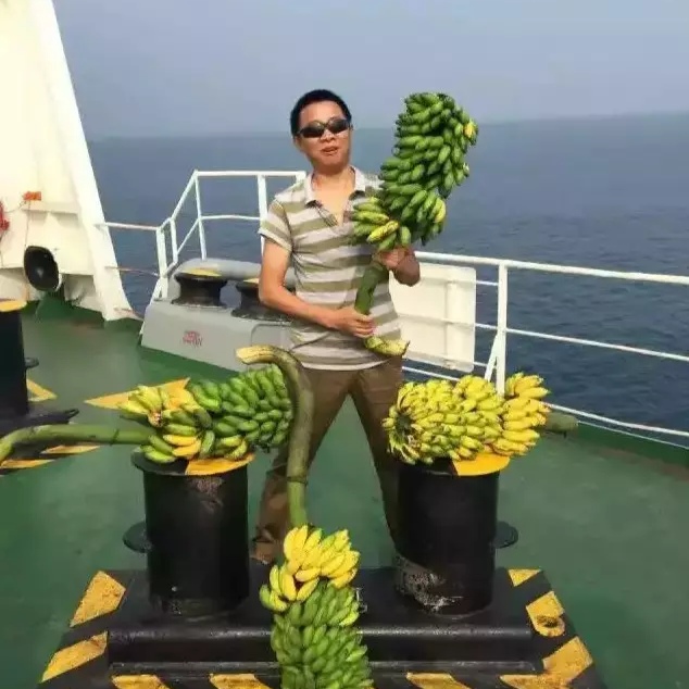 看看船员兄弟在船过年模式