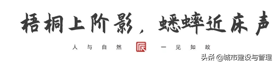 草树青翠虫鸣起，一枕清凉入梦来