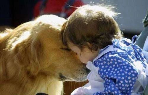 一定要和养狗的人做朋友吗,就喜欢和志同道合的人做朋友