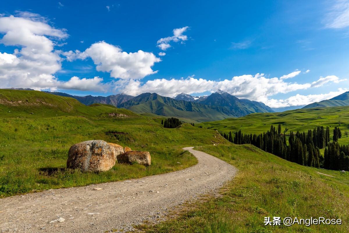 词根ultim怎么记,biodegradable词根