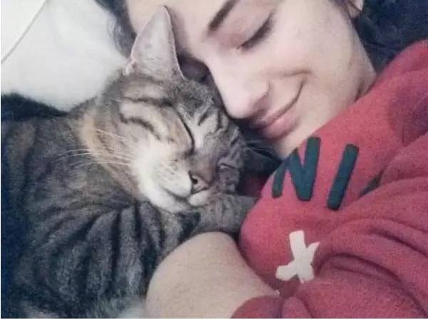 猫咪在各个地方睡觉的表现 (猫咪经常睡到你的哪个位置)