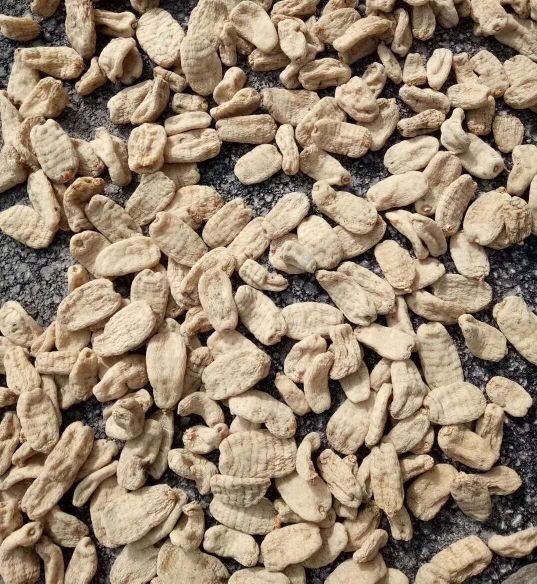 中药炮制常用的仪器和设备,中药炮制常用的液态辅料