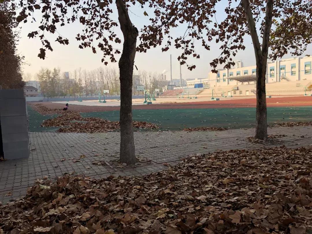 历城二中六十周年,二十年前的历城二中