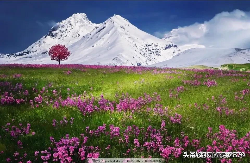 神秘的金字塔动画,神秘的金字塔之谜