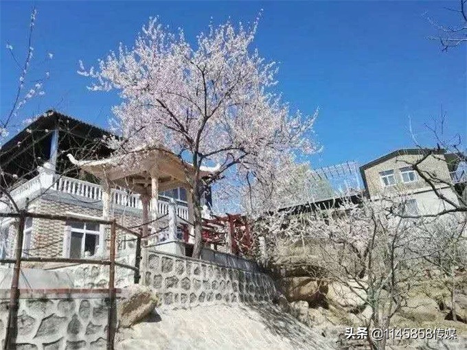 天津盘山紫云金润山庄,天津蓟州盘山金润山庄