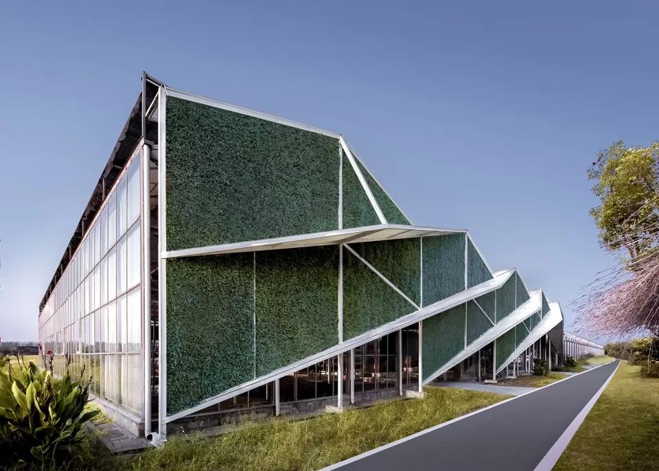 乡村振兴特色文化案例分享,关于乡村振兴比较有创意的点子