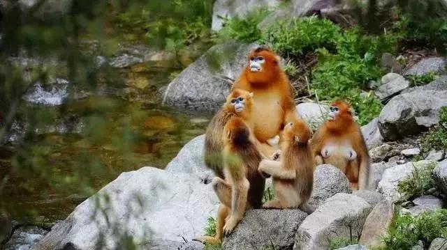 2023中国县域最美榜单,中国十大最美县域