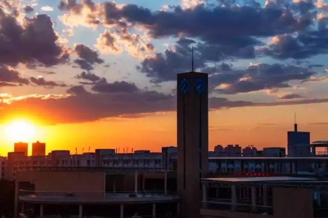 陕西高职容易就业的十大专业,陕西各专业最好就业