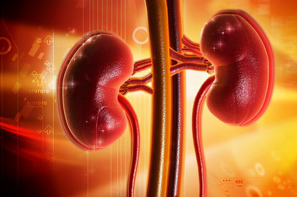 男子脚扭伤查出肾衰竭，为何年轻人易得肾病？这4点可修复肾功能