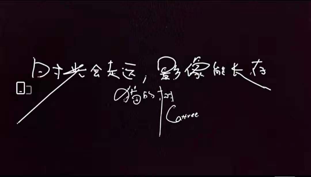 猫的树:时光会走运,影像能长存