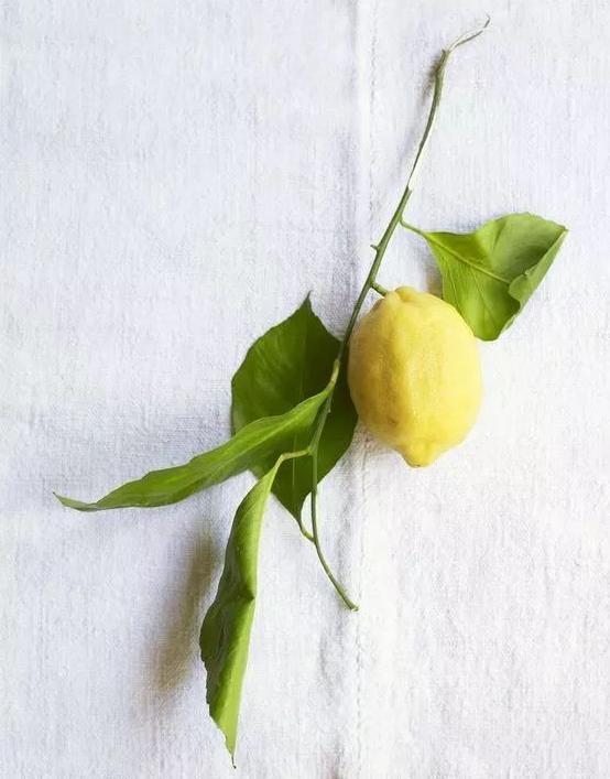 柠檬树种家里的好处,把柠檬树搬到阳光下