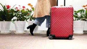 国产结实的旅行箱牌子有哪些,旅行箱国产哪个牌子质量好耐用