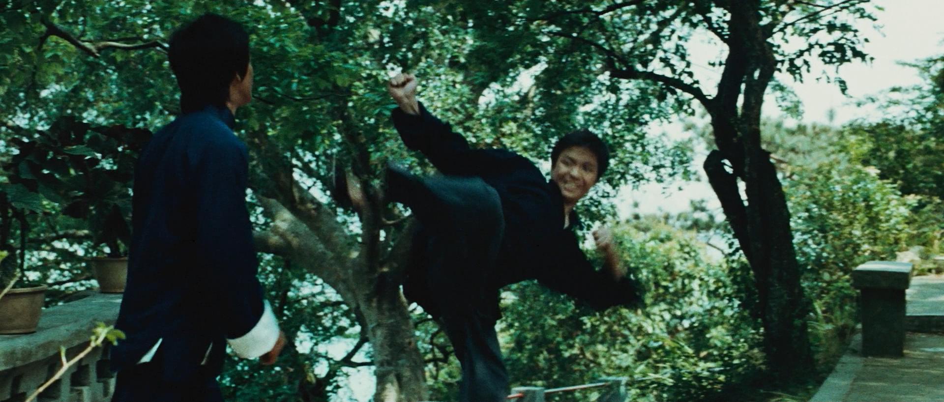 龙争虎斗中李小龙阐释了什么,龙争虎斗李小龙武术最高境界