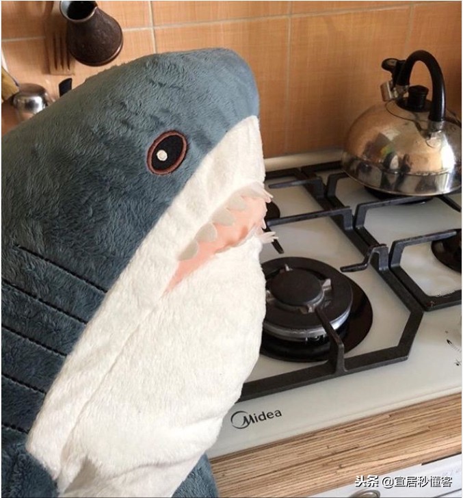 宜家小鲨鱼,为什么宜家鲨鱼火了