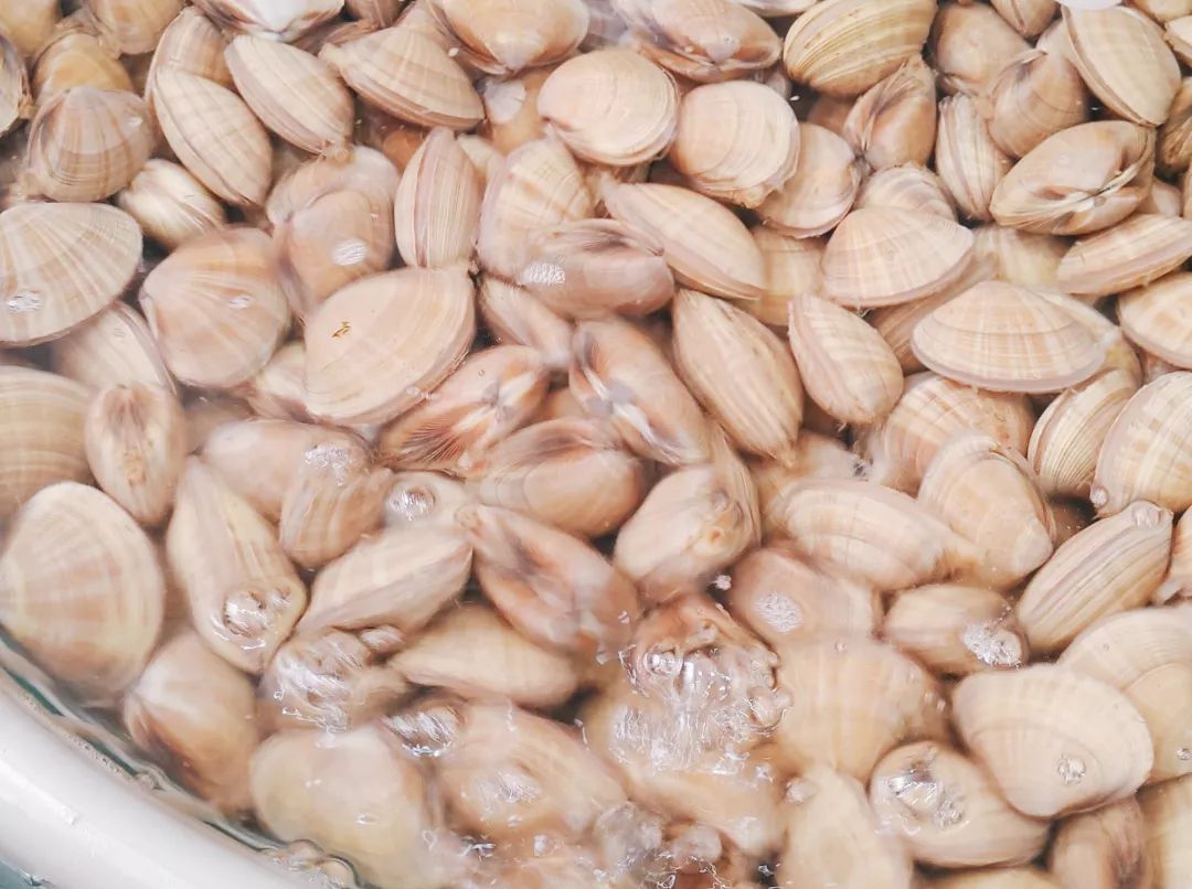 秦皇岛休渔海鲜贵吗,秦皇岛禁渔期海鲜怎么来的