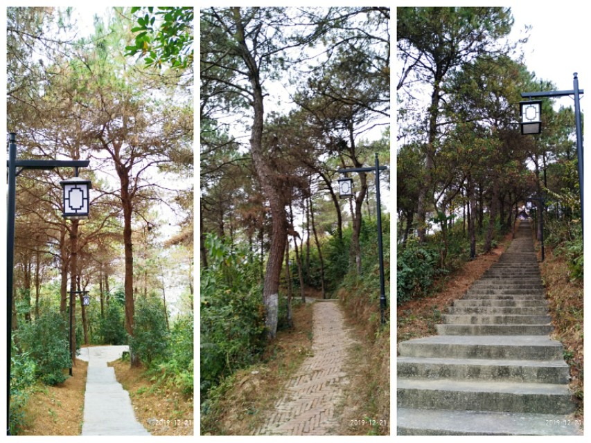 双鹤起舞松林醉——游灵山双鹤公园偶感