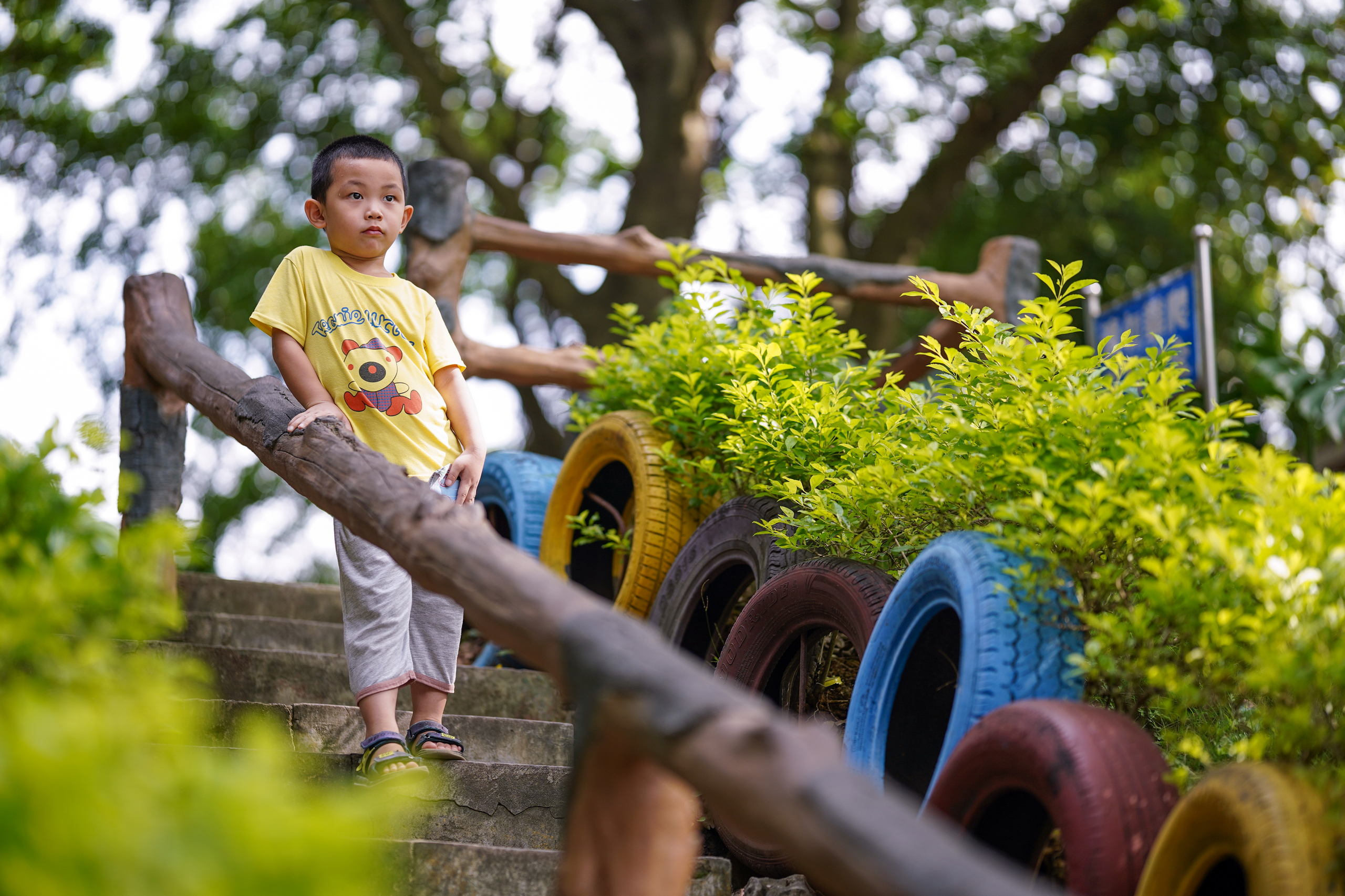 索尼适马851.4定焦镜头,适马85f1.4索尼微单