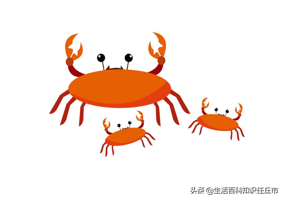 孕妇吃大闸蟹真的会导致流产吗,预产期过了孕妇能吃大闸蟹吗