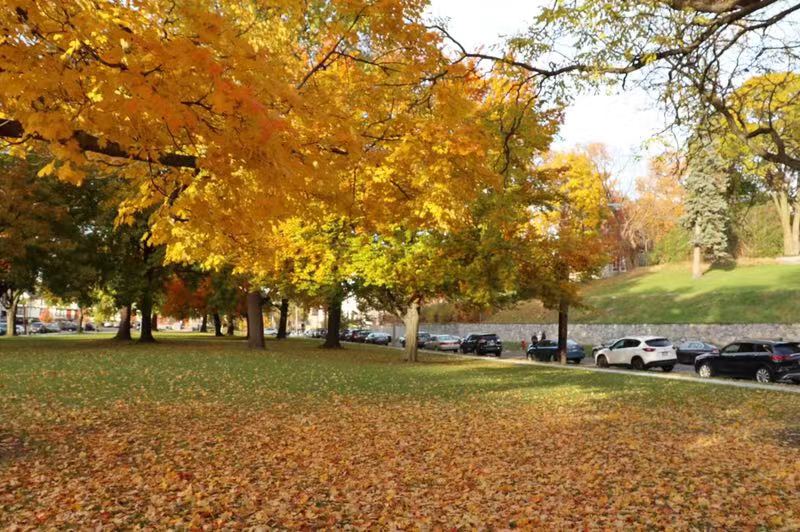 北卡罗来纳大学教堂山分校,北卡罗来纳大学教堂山分校就业率